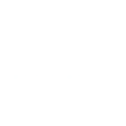 RE/MAX Top Performers